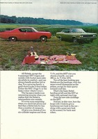 1970 AMC Full Line-08.jpg